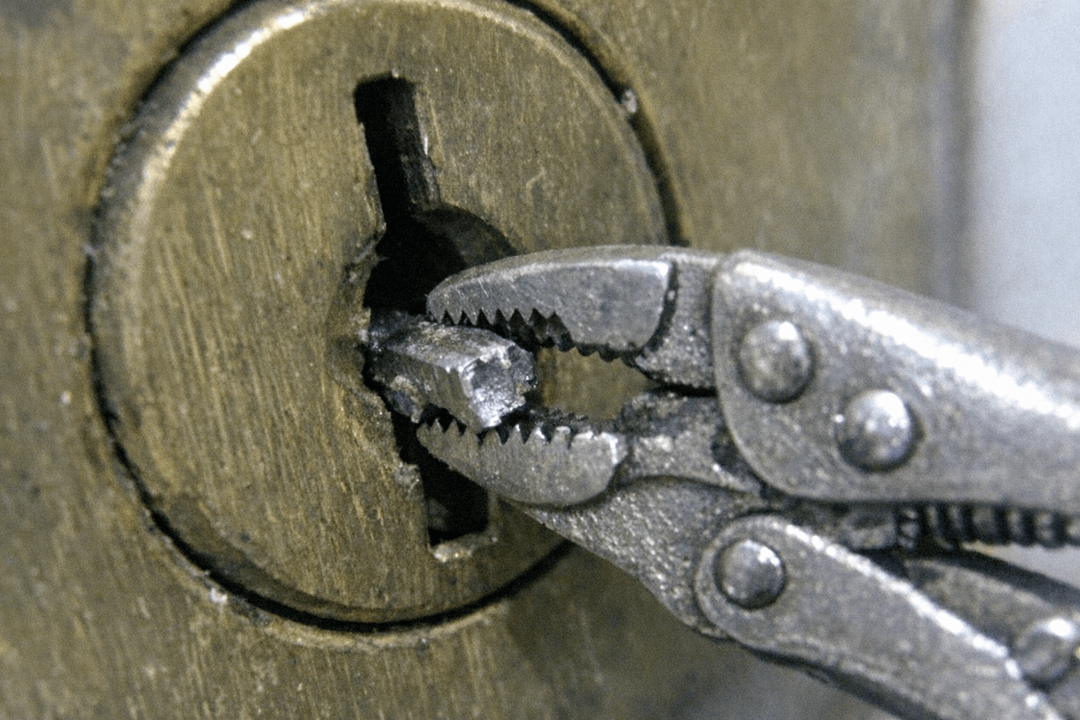 Mikroskopische Zangen bei der Fragmententfernung